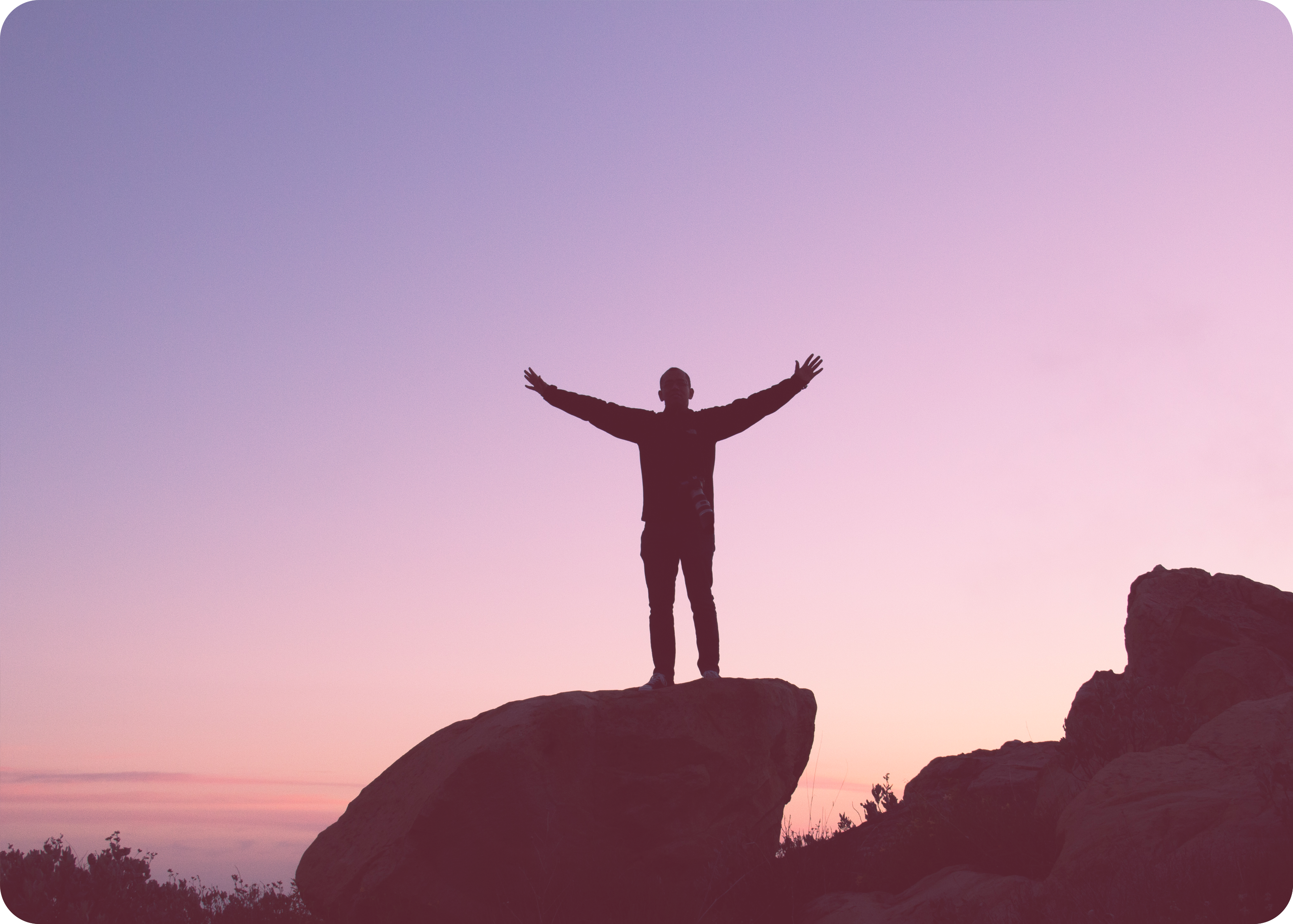 /essential-oils-for-freedom/